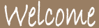 Welcome to Tampa's Best Hair Salon Welcome to Tampa's Best Hair Salon